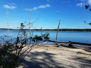 Manasquan Reservoir