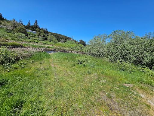 Coquille Valley Wildlife Area