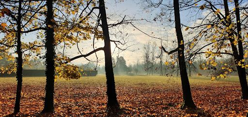 Parc Départemental de Lorient