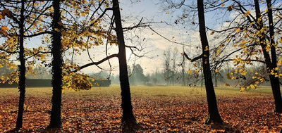 Parc Départemental de Lorient