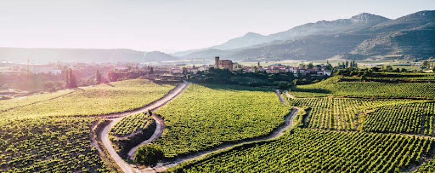 Bodegas Remirez de Ganuza