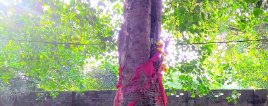 Hanuman Mandir