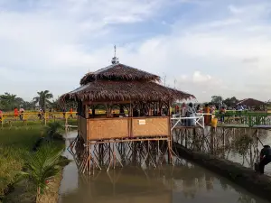 Wisata Sawah Pematang Johar