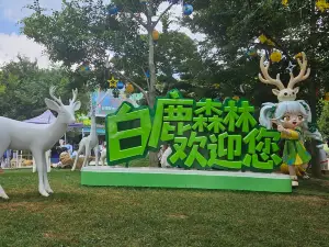 White Deer Forest