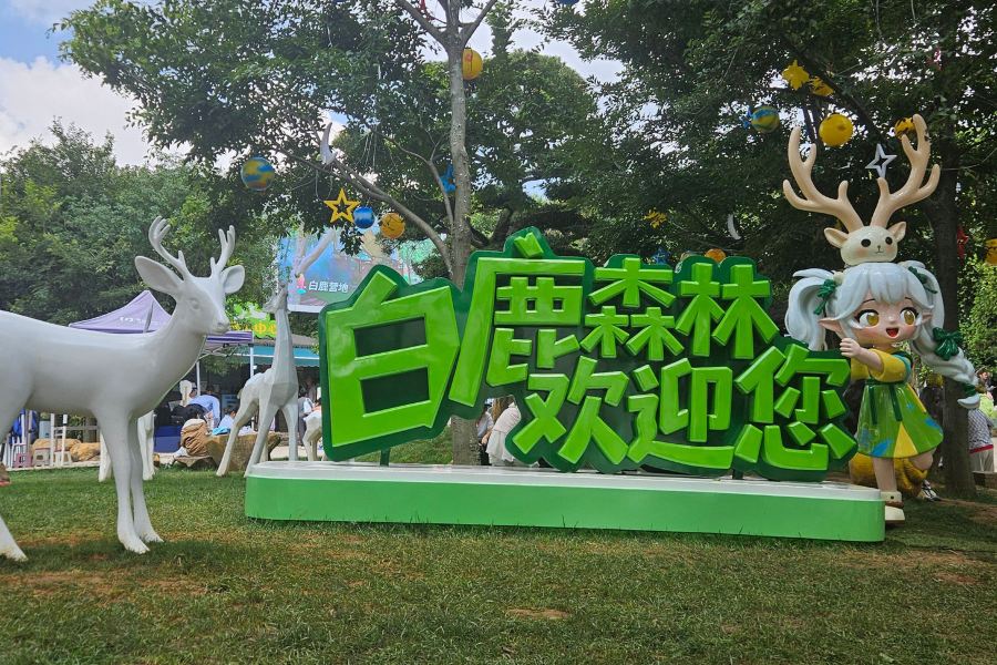 白鹿森林