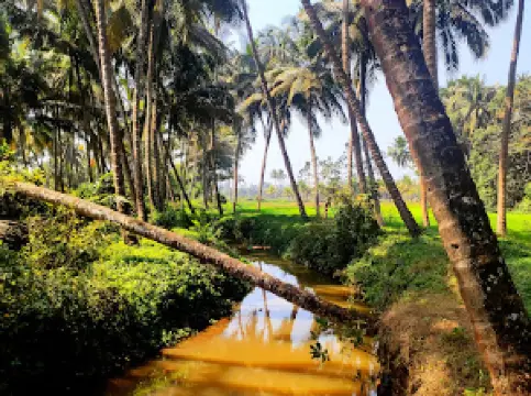 Vetoba Temple Arawali