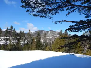 Vallons des Eboulements