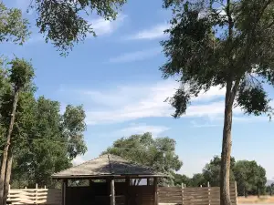 Candy Beach Campground