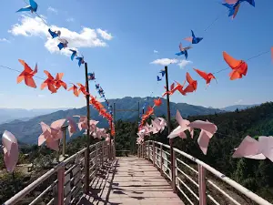 Pha Đin Top