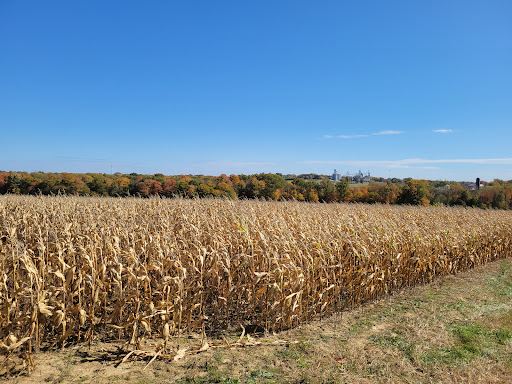 Detwiler Farm