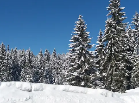 Espace Ludique des Marmousets - Station des Rousses