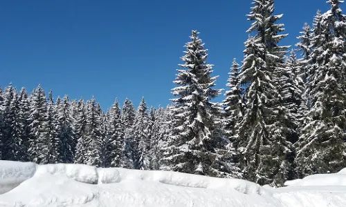 Espace Ludique des Marmousets - Station des Rousses