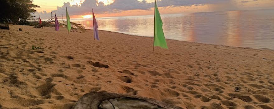 KM388 Beach