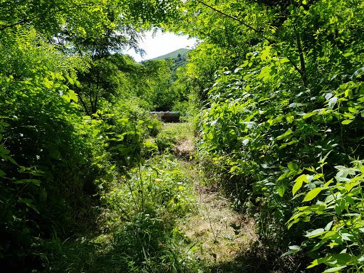 Jungle Raider Park Albavilla