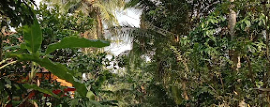 Lapangan Trikarso