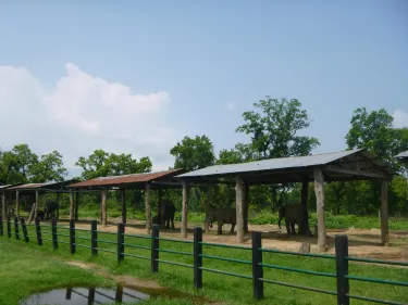 Narayani