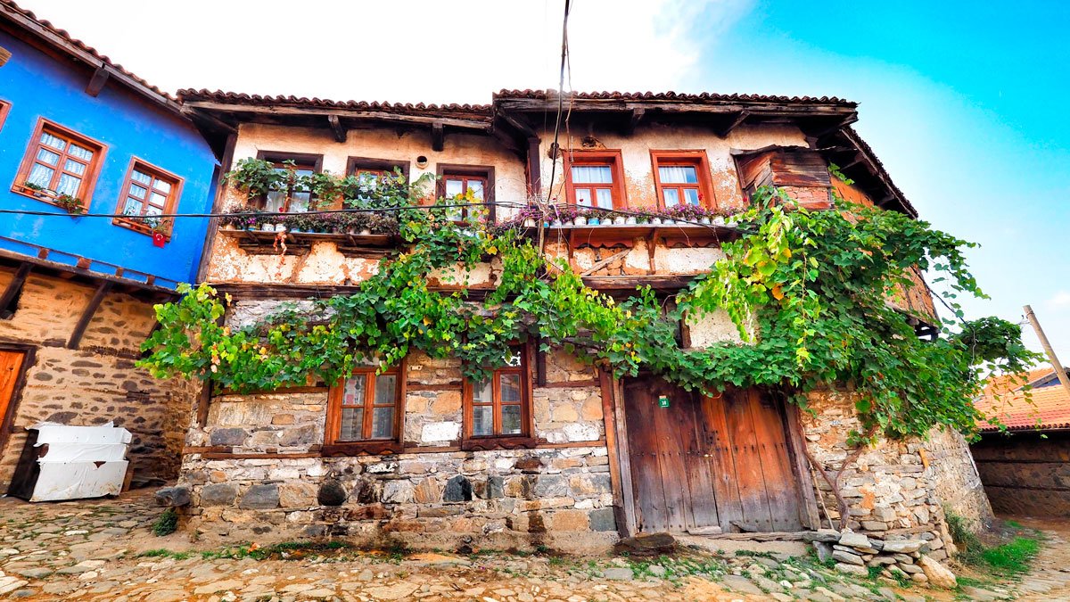 Bursa