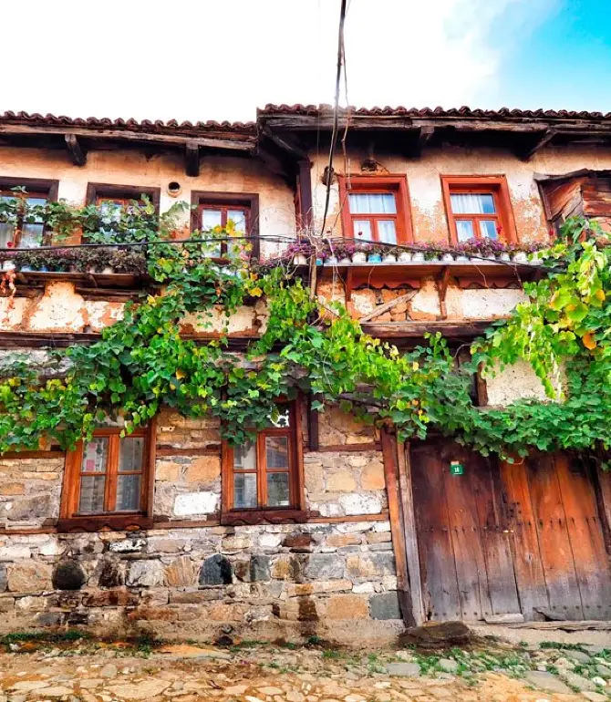 Bursa