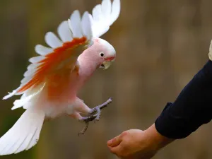 月光保護區野生動物保育公園