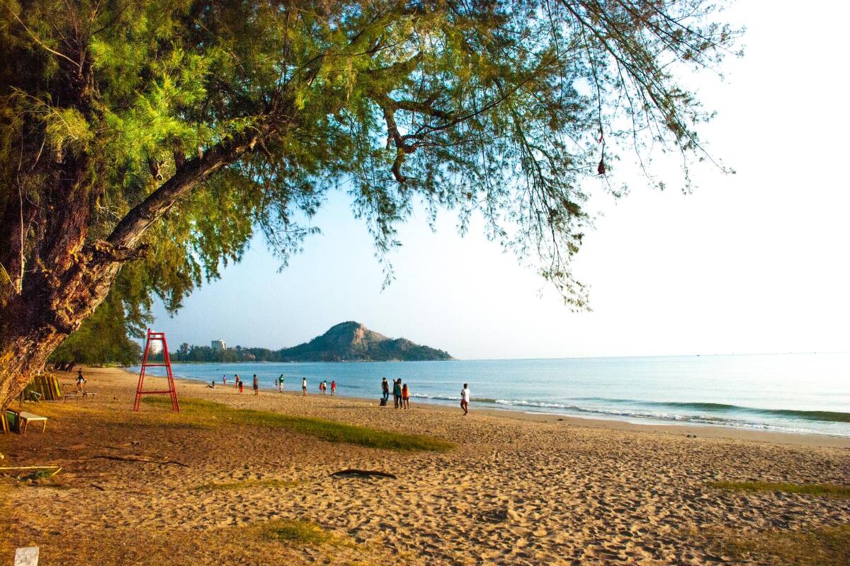 ชายหาด สวนสนประดิพัทธ์