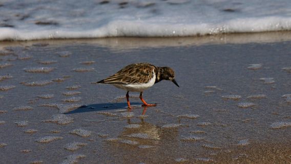 Main Beach Park