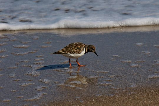 Main Beach Park
