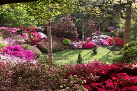 Windsor Great Park