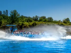 Hellgate Jetboat Excursions