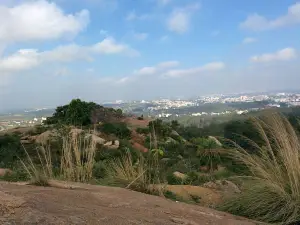 Turahalli Forest