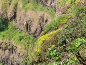 Elphinstone Point