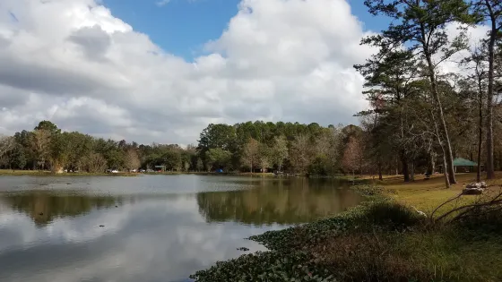 Tom Brown Park