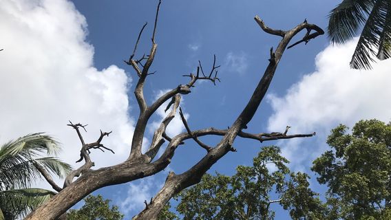 Central Park, Salt Lake