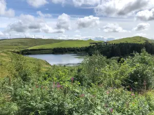 Bwlch Nant yr Arian