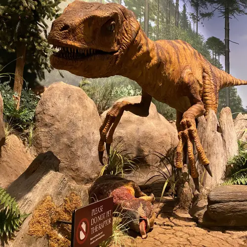 Creation Museum