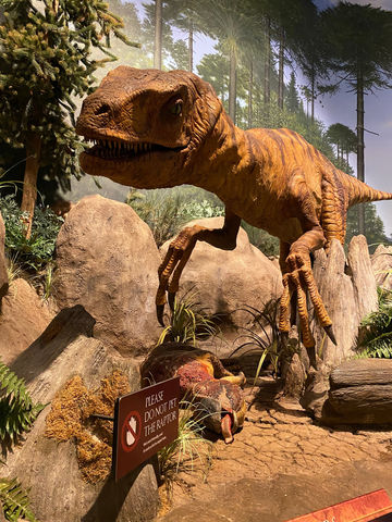 Creation Museum