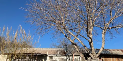 The Chicken Farm Art Center