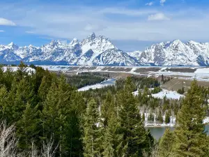 Teton Scenic Floats and Fly Fishing