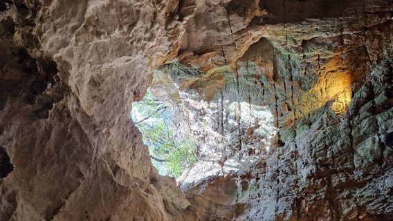 Grotte des Demoiselles