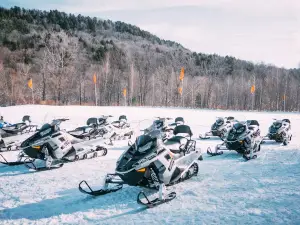 Snowmobile Vermont