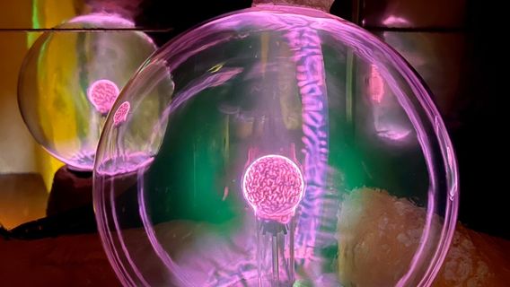 Treasures of the Earth