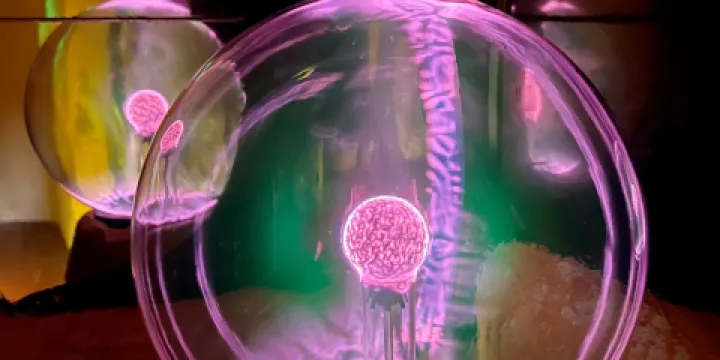 Treasures of the Earth