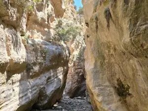 Avakas Gorge Nature Trail