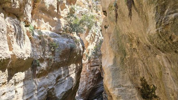 Avakas Gorge Nature Trail