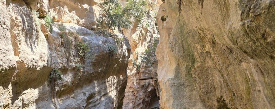 Avakas Gorge Nature Trail