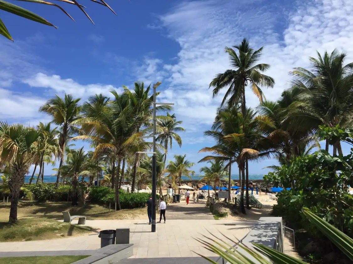 Hotels near Euforia