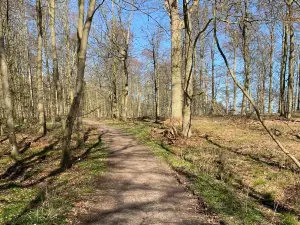 Naturbornholm