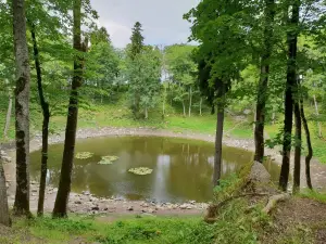 Kaali Meteoritics and Limestone Museum