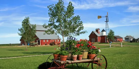 Wessels Living History Farm