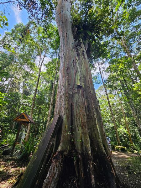 Jakarta to Palu flight