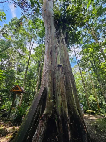 Lore Lindu National Park